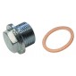ASTA A-M17A-01/02 M13x1.5 Sump Plug & Copper Washer (Cover)